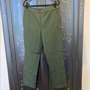 Susan Graver Ponte Straight Leg Pull-On Pants. BRAND NEW. Size L, green.